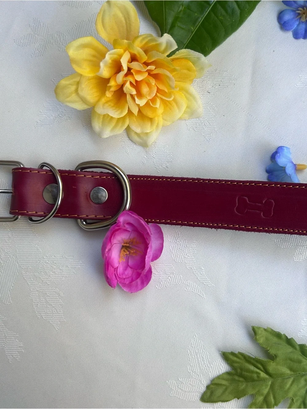 Leather Dog Collar Burgundy Red Adjustable 15-21